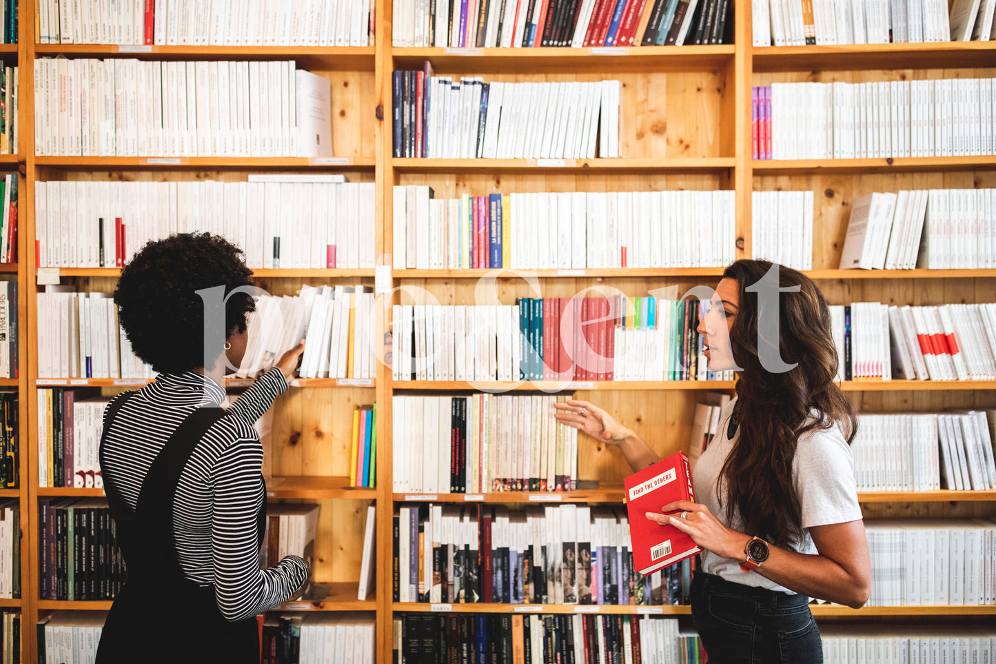 People researching books in a library